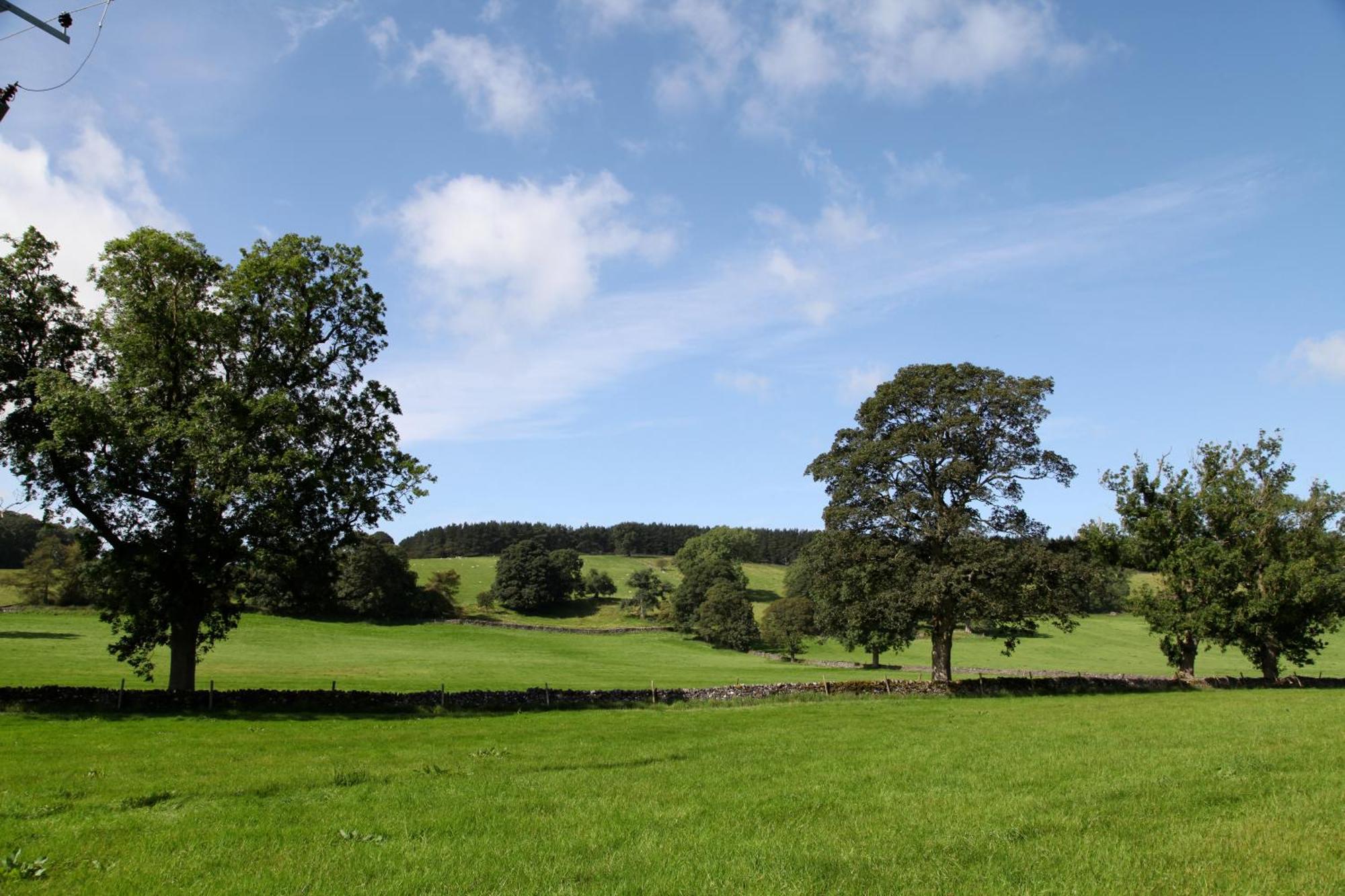Green Grove Country House Malham Eksteriør bilde