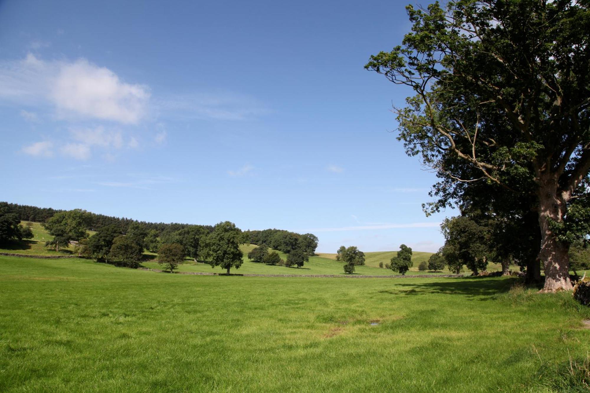 Green Grove Country House Malham Eksteriør bilde